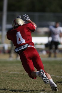 星空电竞平台官网-五大联赛最具统治力的球队如何打造，五大联赛良心球队  第1张