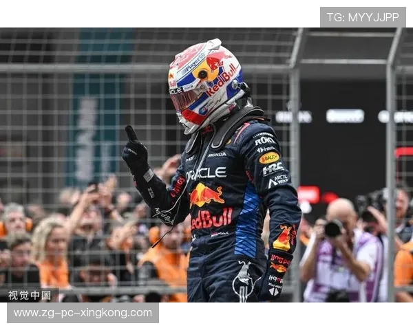 F1法国大奖赛：赛道风云变幻，维斯塔潘最终夺冠